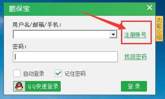 鵬保寶數字內容制作服務 從入門到精通的完整教程